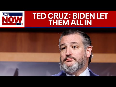 Video | Ted Cruz: Illegal immigrants poured in under Biden and pillaged America