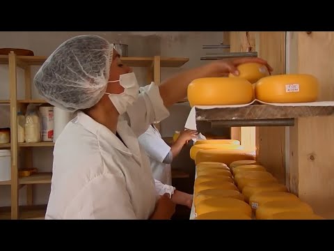 COLEGA COOPERATIVA DE LECHEROS DE GUATAVITA   CUNDINAMARCA