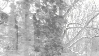 LYCIA - Everything Is Cold