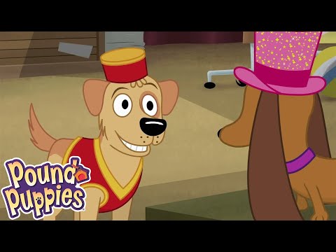 Pound Puppies | Dog on a Wire | COMPILATION | Season 1 | Pet Cartoon