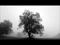 Im Nebel - Hermann Hesse 
