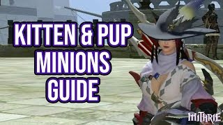 FFXIV Minion Guide