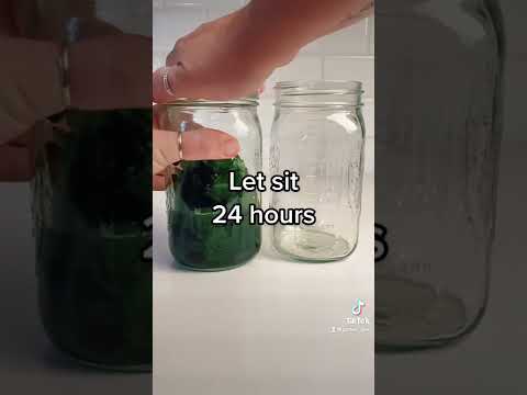 American beauty berry insect repellent #organic #herbalife #garden #plants #gardening #growfood