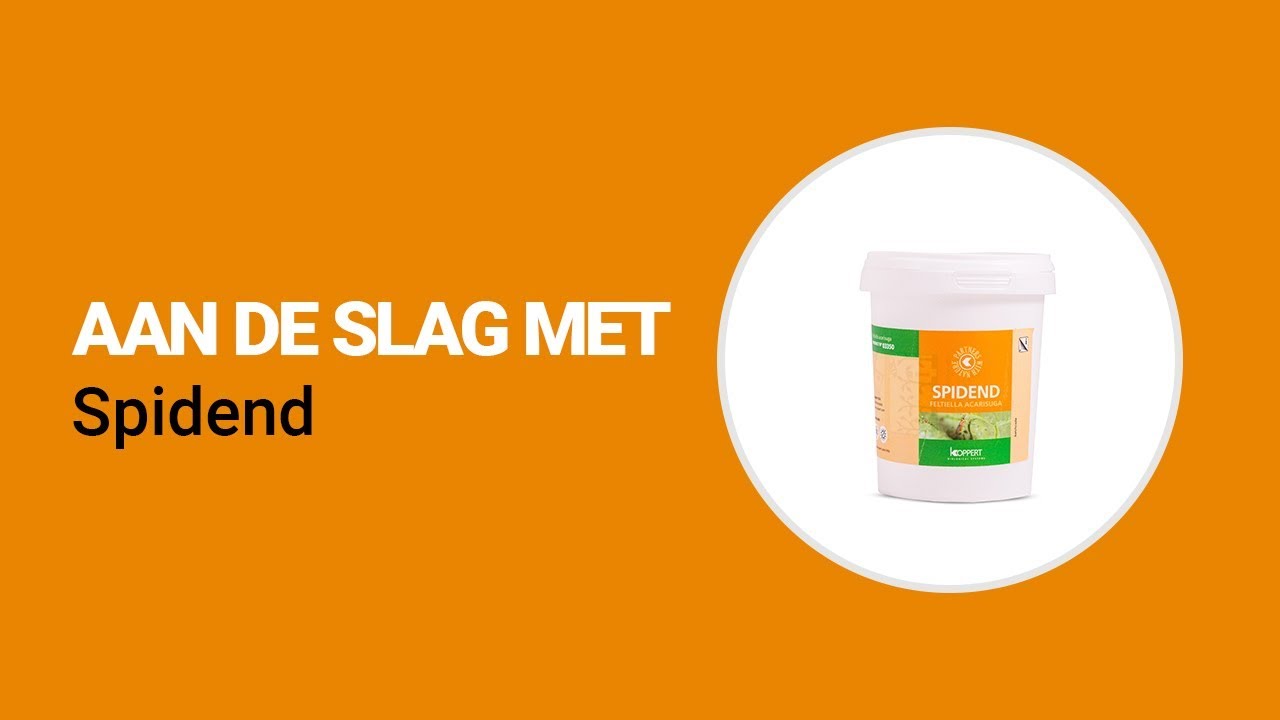 Video preview poster