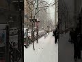 Toronto Street Walk In Snowfall Shorts Viral Shortsvideo Toronto Canada Snowfall Street