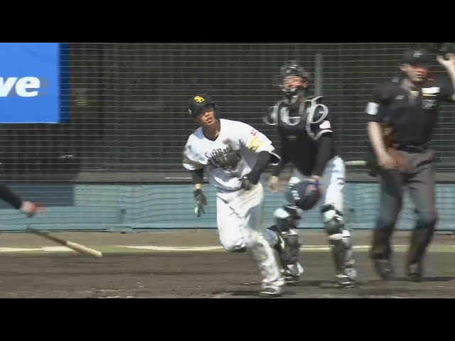 【MBG】豪快弾でアピール!! ホークス・廣瀬隆太 レフトへの2ランホームラン!! 2025年3月2日 福岡ソフトバンクホークス 対 千葉ロッテマリーンズ