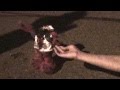 4TH Of July Celebration Burning Elmo
