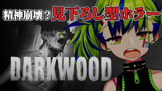 『 Darkwood 』Escape from the Eerie Forest.謎の疫病が蔓延する不気味な森からの脱出!