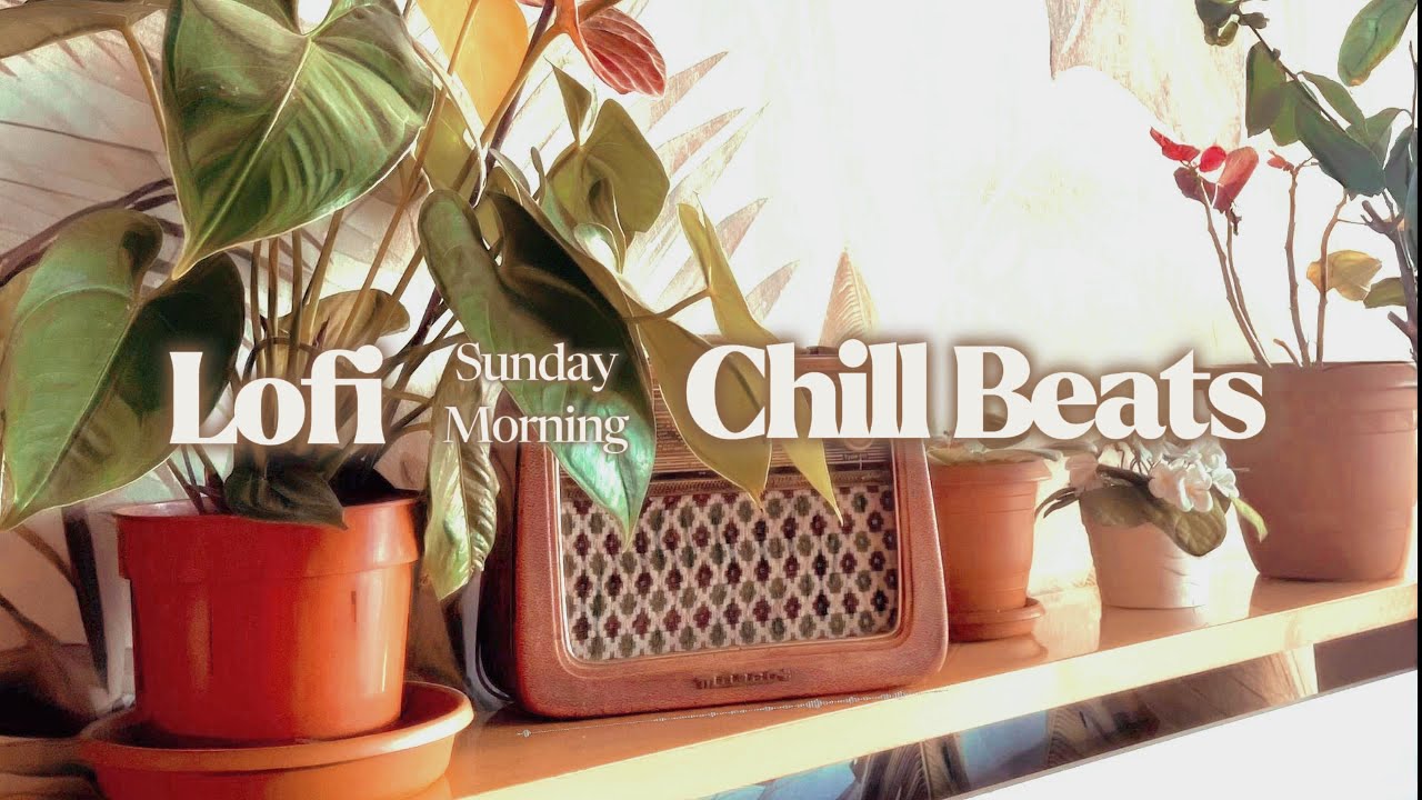 Chill Lofi Beats for Relaxing Sunday Morning🌞Lofi Mix for Focus and Relaxation