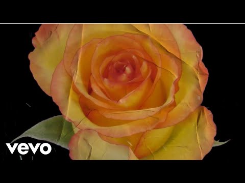 Jimi Cravity - Poetry (Lyric Video)