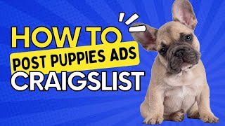 How To Sell Puppies On Craigslist Without Getting Flagged - 2023
