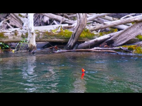 Float Fishing KING SALMON in IMPOSSIBLE to Land Areas! - (BOBBER DOWNS)