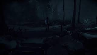 ただいま　until dawn