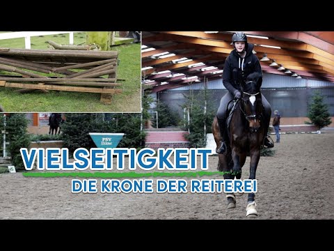 Feuertaufe für neues Springpferd 🔥 Wird Chapeau seine Probezeit überstehen?