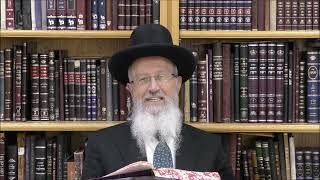 הגאון הרב אברהם יוסף שליט"א האם יש חובה לאכול מצות בפסח שני
