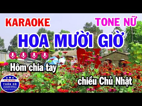 Karaoke Hoa Mười Giờ Tone Nữ A#m Nhạc Sống Rumba Dễ Hát