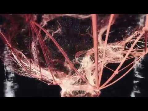 2017 MFA Film Festival