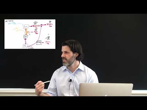 Qi Metabolism video