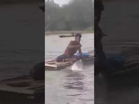 Barramundi Catch. Miaru, Gulf Province. PNG