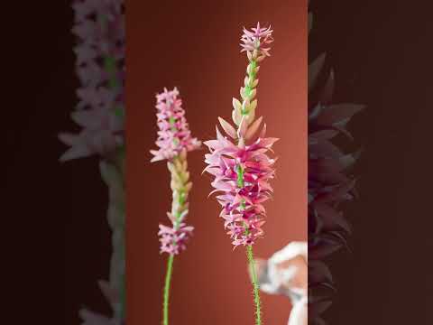Flower Growth - Blender Geometry Nodes 4.5