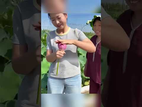 На ее глазах расцвел лотос 🌸 И всего 2 лайка