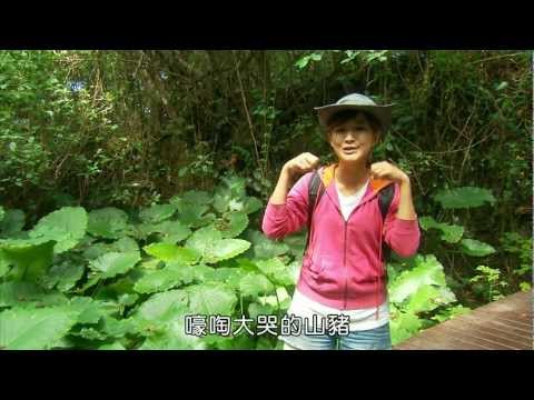 100年樂活農村-第029集 潛進琉球 有GO讚
