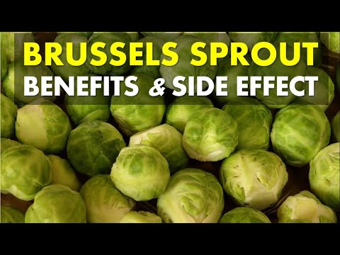 , title : 'Brussels Sprout Benefits and Side Effects, Brussels Sprout High in Nutrients'