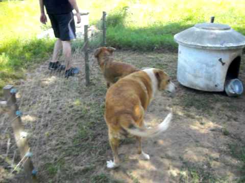 Eneida 03 03 11 Kiko 134