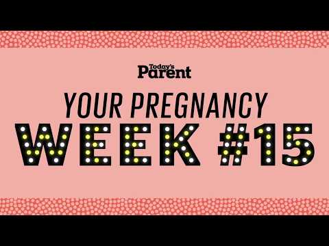 Your pregnancy: 15 weeks