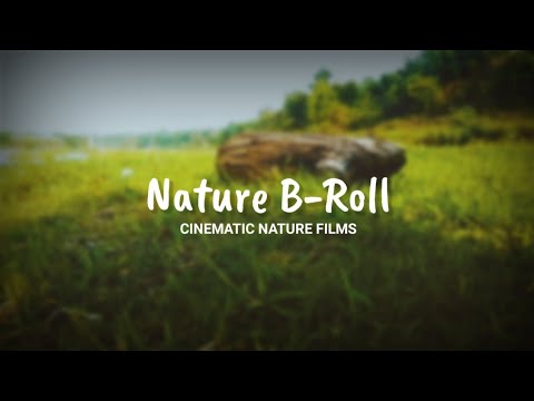 Nature B-Roll Cinematic Nature Films