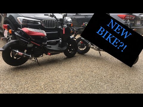 Thumbnail for Ruckus Vs New Bike?! (Sound Comparison by video, video f, vide