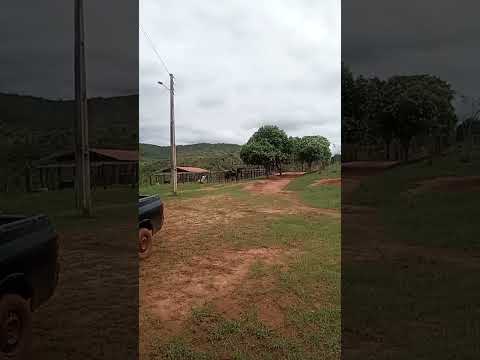 vaqueiro lagoa real bahia 🤠🤠 #vaqueiro #vaquejada #bahia #soufeliz #nordestino