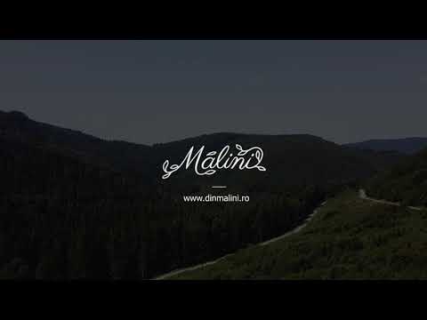 Muntii din Malini, Suceava