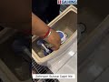 Johnson Suisse Capri One Piece Water Closet Demo