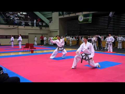 ITF 2011 NZ - USA Junior Male Patterns Dan II Comp 1.MP4