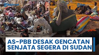 Amerika dan PBB Desak Gencatan Senjata Segera di Sudan Usai RSF Kuasai Kota el-Fasher
