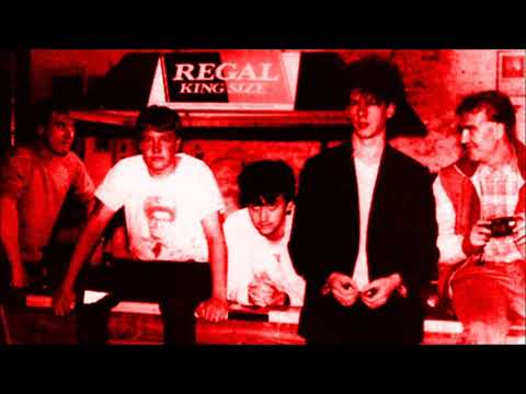 Videoclip de P. R. S. Yearbook - Quick the Drawbridge — Half Man Half Biscuit