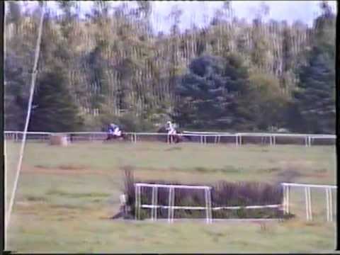 Point-to-point Blommeröd 2003