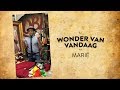 Marie | Het wonder van vandaag