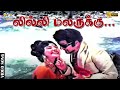 லில்லி மலருக்குக் கொண்டாட்டம் உன்னை�