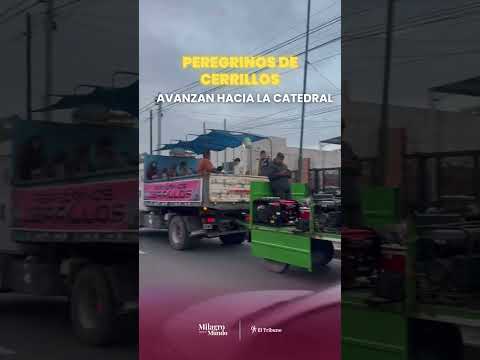 LOS PEREGRINOS DE CERRILLOS YA AVANZAN HACIA LA CATEDRAL