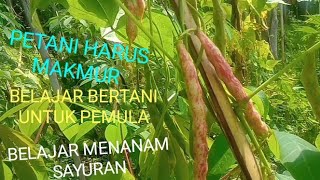 Download lagu Learn to Grow Vegetables Learn Farming for Beginners Farmers Must Prosper mp3