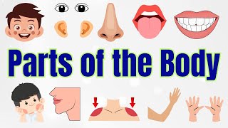 Parts of the Body | Parts of the Body for LKG Kids | Learn Body Parts & Sense Organs | Tiny Tutors