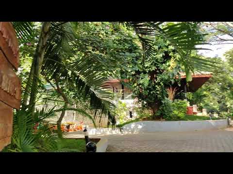 Windflower resort ⛵