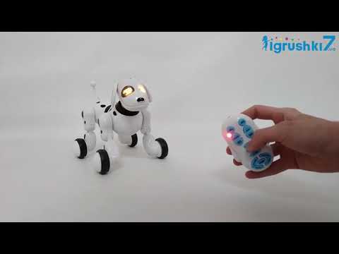 Робот-собака KaiLanToys на радиоуправлении Белый (619)