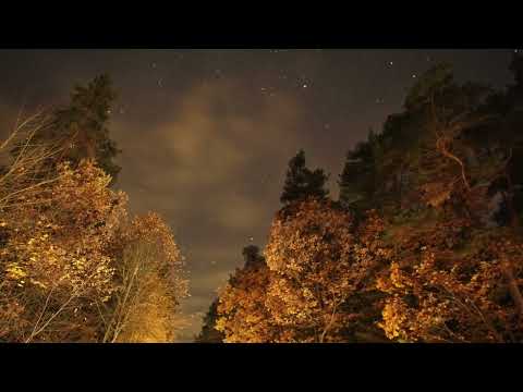 Leonardo - Herbstnacht