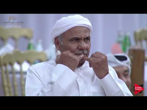 N.161 SULTAN AL RAYYAN - 2019 Qatar Nat. Peninsula show - Stallions 4 to 6 Years Old (Class 10) .mp4