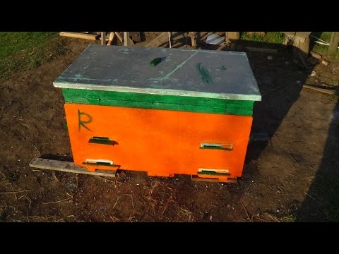 Реставрация и апгрейд улья на 24 рамки