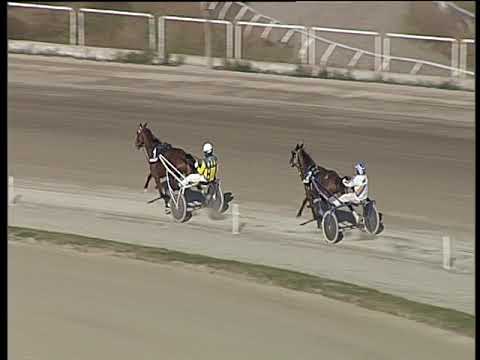 Trotto 07/12/2018 - 1ª prova di qualifica