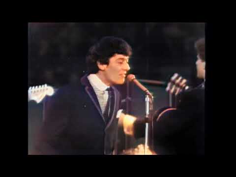 The Hollies - Rockin' Robin - New Musical Express 1964 - IN COLOR